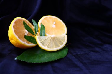 Limon ve nane likörü için taze karışım