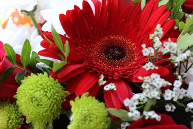 Parlak ve sulu çiçek karışımı, yaz zamanı