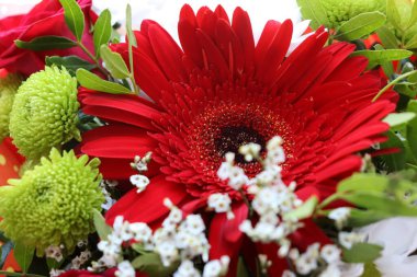 Parlak ve sulu çiçek karışımı, yaz zamanı