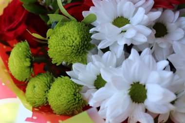 Parlak ve sulu çiçek karışımı, yaz zamanı