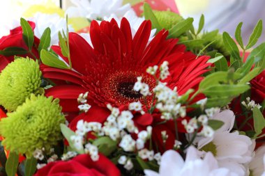 Parlak ve sulu çiçek karışımı, yaz zamanı