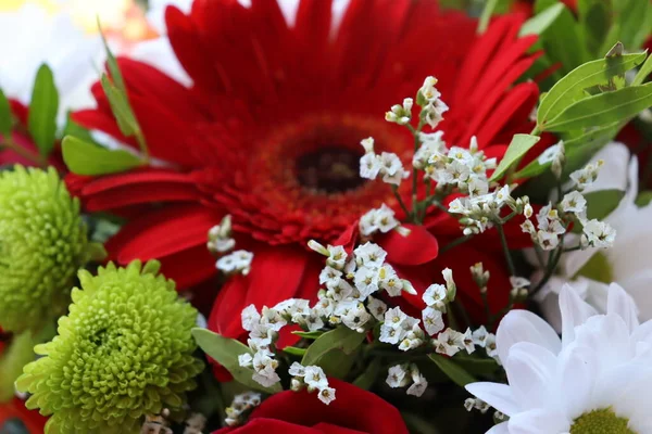 Parlak ve sulu çiçek karışımı, yaz zamanı.