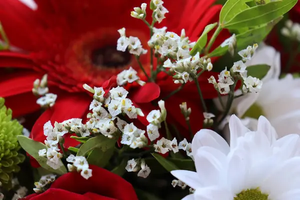 Parlak ve sulu çiçek karışımı, yaz zamanı