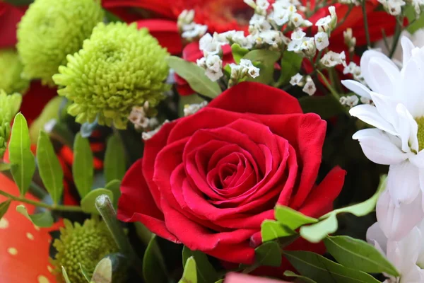 Parlak ve sulu çiçek karışımı, yaz zamanı