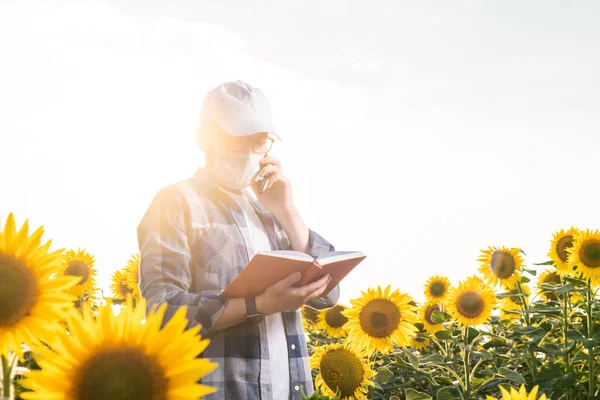 Junger Agronom Inspiziert Sonnenblumen Auf Dem Feld Konzept Des Ökologischen — Stockfoto