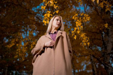 Sonbahar ormanında uzun paltolu güzel bir kadın. Sonbahar konsepti.