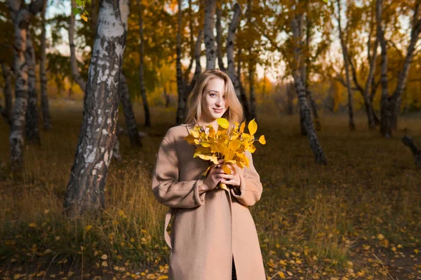 Молода Красива Жінка Довгому Пальто Жовтим Листям Позує Осінньому Лісі — стокове фото