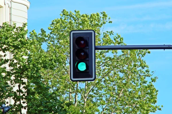 背景には木と青空の枝が緑の信号機 交通標識だ スペインのマドリードにあるセラノ通り — ストック写真