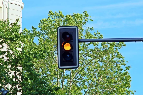 Semáforo Laranja Com Ramos Uma Árvore Céu Azul Fundo Sinais — Fotografia de Stock