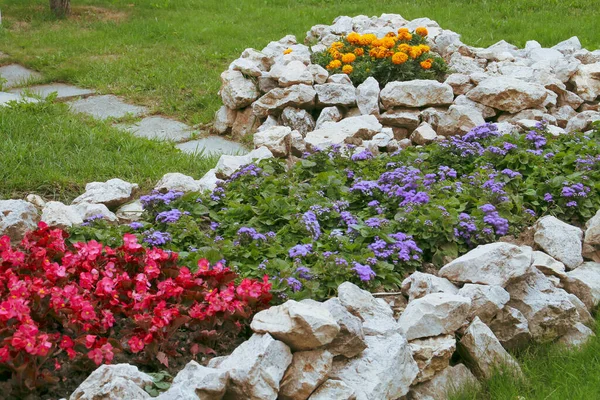 Pequeño Jardín Flores Muy Colorido Plaza Del Consejo Brasov Rumania — Foto de Stock
