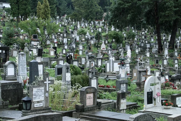 Brasov Rumänien 2018 Der Jüdische Friedhof Von Brasov — Stockfoto