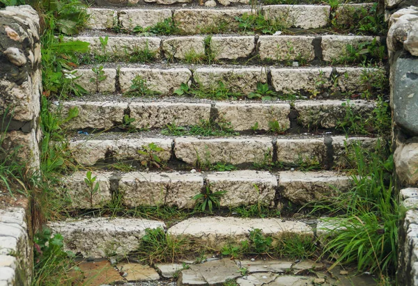 Außentreppe Aus Stein Mit Gras Zwischen Den Stufen — Stockfoto