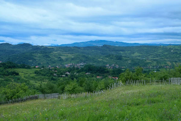 Wälder Und Wiesen Der Nähe Von Berevoesti Rumänien — Stockfoto