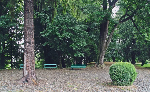 Giardini Della Cattedrale Curtea Arges Romania — Foto Stock