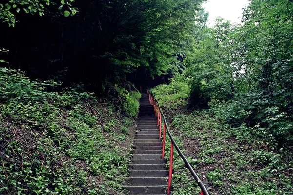 1480 Stufen Steigen Zum Berühmten Schloss Poenari Rumänien Diese Ruinierte — Stockfoto