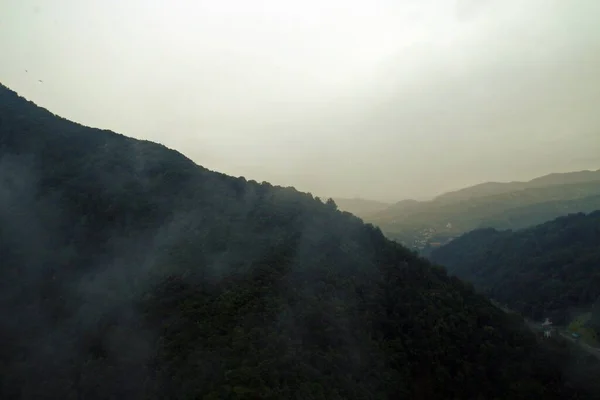 Пики Леса Румынских Карпатах Среди Облаков Дождливый Летний День — стоковое фото