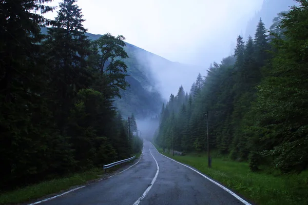 Yağmurlu bir yaz gününün sislerinde dağ yolu gizemli ve büyüleyici bir manzara yaratıyor. Transfagarasan veya DN7C, Romanya 'nın en yüksek ikinci asfalt yolu..