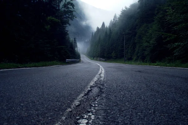 Гірська Дорога Тумані Дощового Літнього Дня Створює Пейзаж Таємничості Чарів — стокове фото