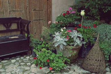 Bazı eski mobilya ve eşyaların yanında çiçek açan saksılar. Sighisoara 'nın dış köşesinde terk edilmiş görünümlü antika nesneler..