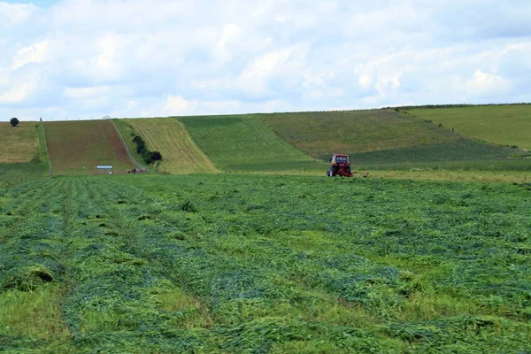 Campi Agricoli Verdi Appena Falciati Vicino Rotbav Romania Falciatura Del — Foto Stock