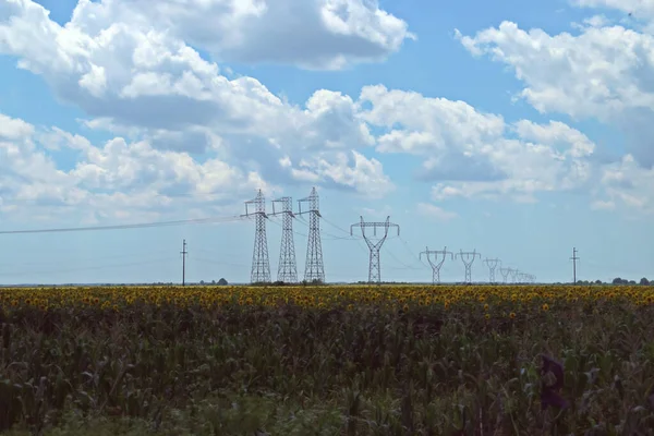 Пілони Над Полем Соняшників Вежі Електроенергії Кабелі Півдні Румунії — стокове фото