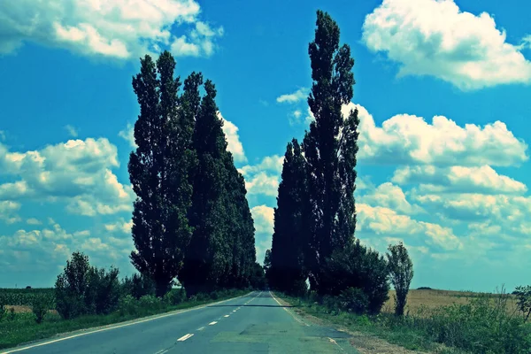 Ruta Dn2A E60 Rumanía Recto Solitario Tramo Camino Bordeado Álamos —  Fotos de Stock