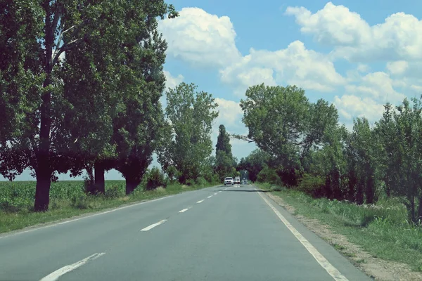 Ruta Dn2A E60 Rumanía Recta Tramo Camino Alineado Con Álamos —  Fotos de Stock