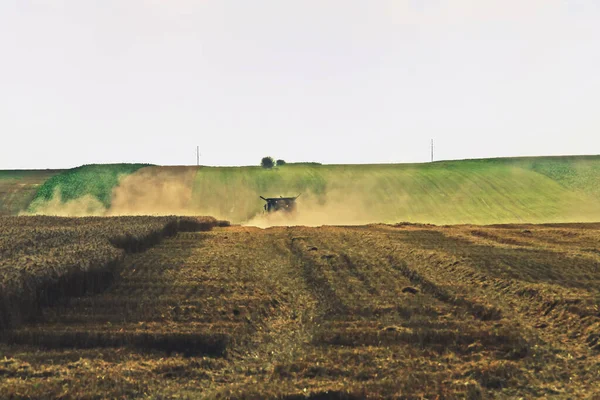 Combina Mietitrebbia Falciando Campo Cereali Campi Cereali Nel Sud Della — Foto Stock