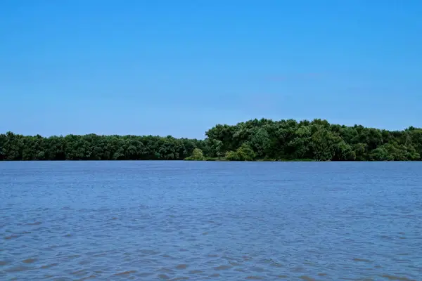 Danube River Its Delta Branch Saint George Vegetation Riverbank Seen — Stock Photo, Image