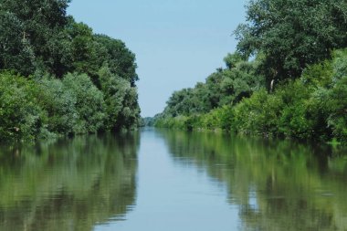 Romanya 'nın Tuna Deltası' ndaki Litcov Kanalı. St. George şubesini Tuna deltasının iç lagünlerine bağlayan bir kanal..