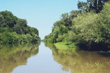 Romanya 'nın Tuna Deltası' ndaki Litcov Kanalı. St. George şubesini Tuna deltasının iç lagünlerine bağlayan bir kanal..