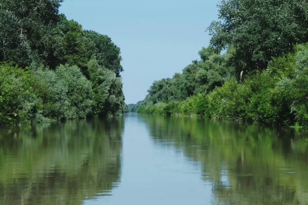 Litcov Canal Danube Delta Romania Canal Connects George Branch Inner — Stock Photo, Image