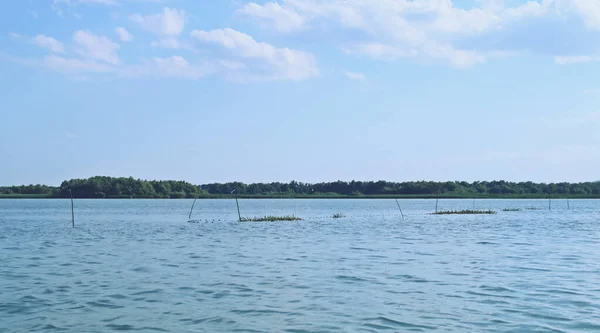 Fishing Nets Set Lagoon Danube Delta Transboundary Biosphere Reserve Danube — Stock Photo, Image