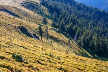 Romanya 'daki Kızıl Dağ' da bulunan muhteşem dağ manzarası, doğa ve güzelliği. Dağlarda gün doğumu. Turist gezileri. Dağlarda yabani ot yapmak.