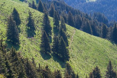 Romanya 'daki Kızıl Dağ' da bulunan muhteşem dağ manzarası, doğa ve güzelliği. Dağlarda gün doğumu. Turistik bölgeler