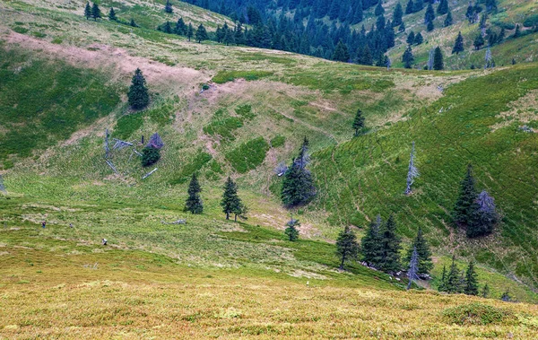 Photos Montagne Rouge Carpates Roumanie Beau Paysage Sur Montagne Rouge — Photo