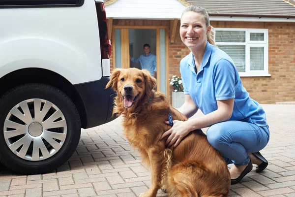 Porträt Einer Frau Mit Transporter Läuft Hund Spazieren — Stockfoto