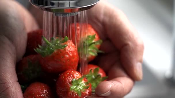 Mann Aus Nächster Nähe Wäscht Frische Erdbeeren Unter Wasserhahn — Stockvideo