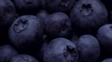 Taze Yaban Mersini Full Frame Dolly Shot Up Up 