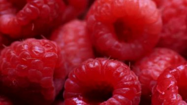 Taze Ahududu Full Frame Dolly Shot Up Up