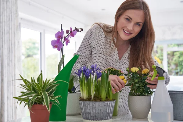 Retrato de mujer joven cuidando las plantas domésticas en interiores — Foto de Stock