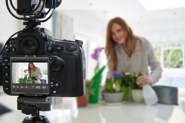 Mujer Vlogger Haciendo Video de Redes Sociales Sobre Cuidado de Plantas de Casa F —  Fotos de Stock