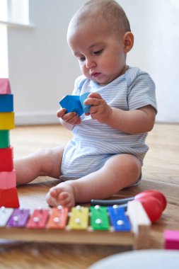 8 Aylık Erkek Bebek Renkli Ahşap ile Oynayarak Öğrenme