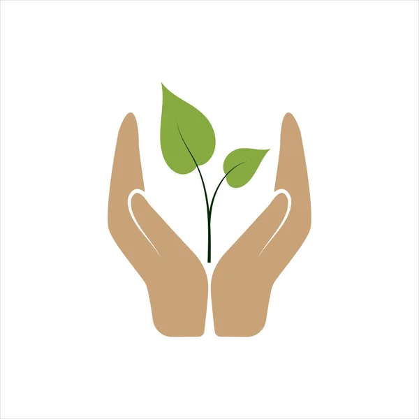Emberi Kéz Egy Növény Egy Fehér Háttér Vektor — Stock Vector