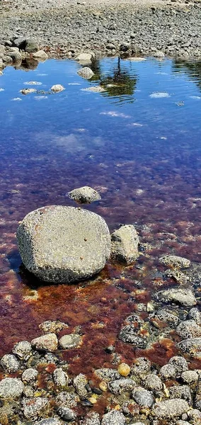 Reflection in tidal pool