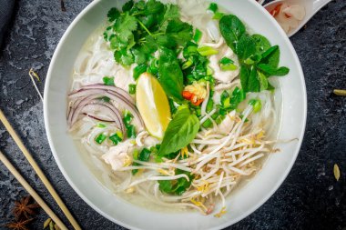 Vietnam çorbası Pho GA