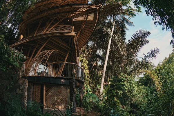 Szőke egy bambuszház erkélyén a dzsungelben. — Stock Fotó