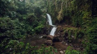 Şelale Ormanı tropikal ormanı. Ubud Bali. Endonezya 'da. Zaman ayarlı hiperhız 4k