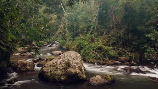 Říční džungle tropický les. Ubud Bali. Indonésie. Časová prodleva 4k — Stock video