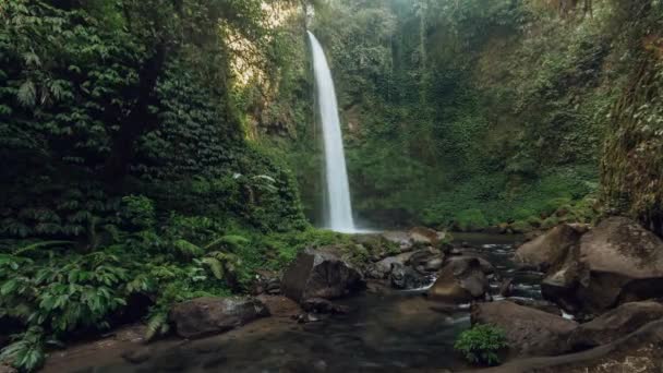 瀑布丛林热带森林。巴厘Ubud Bali.印度尼西亚。时间飞逝4k — 图库视频影像